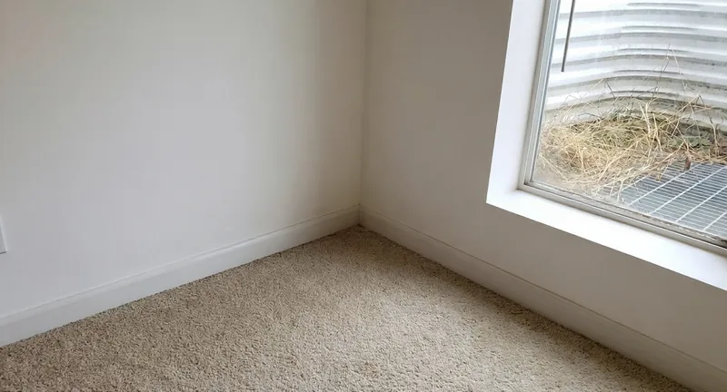 The same basement corner after remediation and repainting
